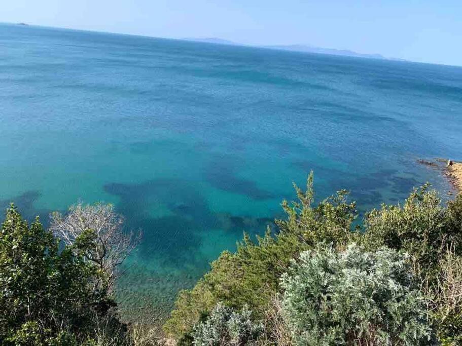 Agriturismo Il Sorbino - Appartamento Da Cocca Pian d'Alma المظهر الخارجي الصورة