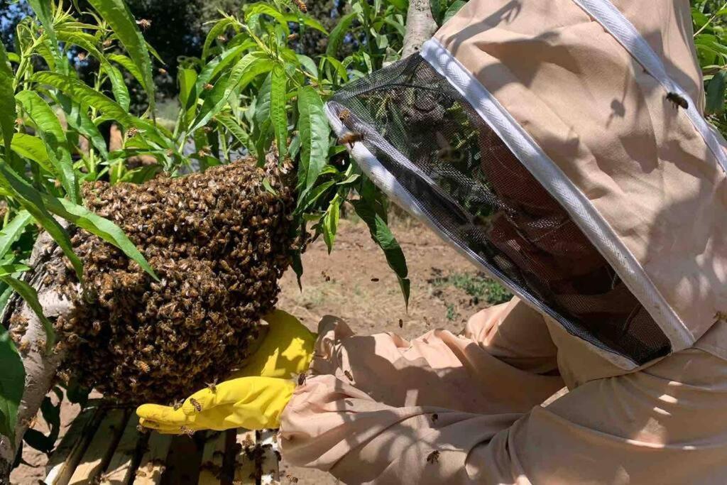 Agriturismo Il Sorbino - Appartamento Da Cocca Pian d'Alma المظهر الخارجي الصورة