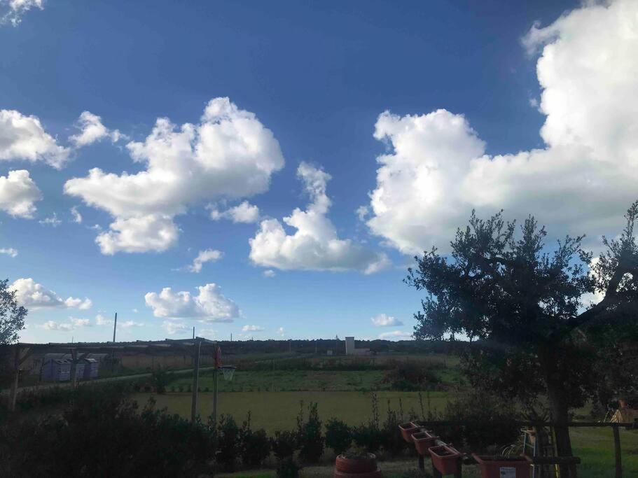 Agriturismo Il Sorbino - Appartamento Da Cocca Pian d'Alma المظهر الخارجي الصورة