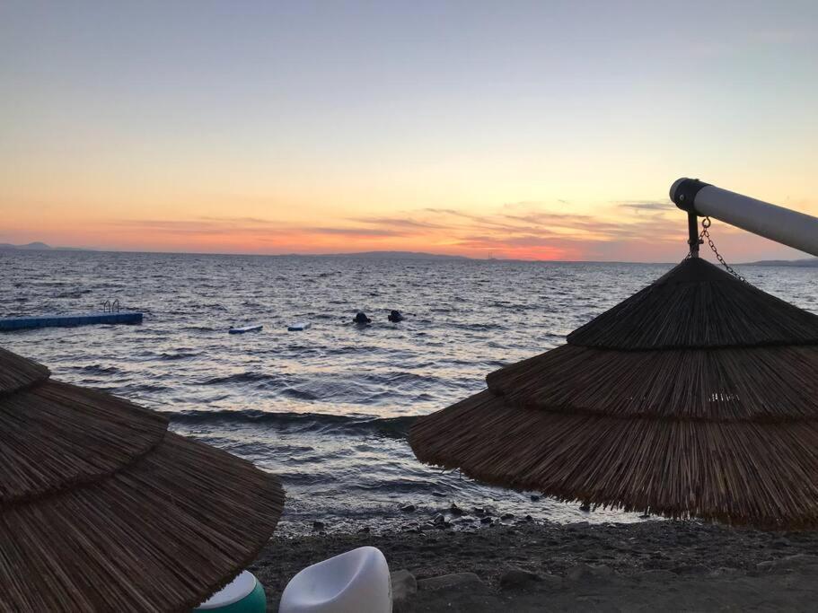 Agriturismo Il Sorbino - Appartamento Da Cocca Pian d'Alma المظهر الخارجي الصورة
