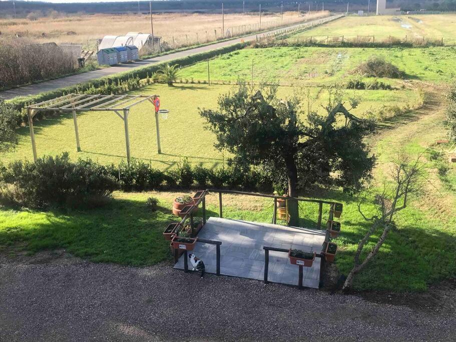 Agriturismo Il Sorbino - Appartamento Da Cocca Pian d'Alma المظهر الخارجي الصورة
